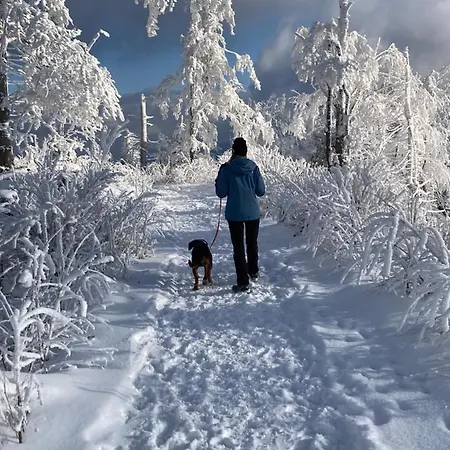 Sloneczna Dolina Сasa de vacaciones *