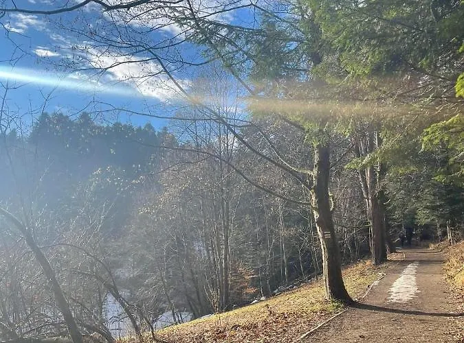 Sloneczna Dolina 度假居