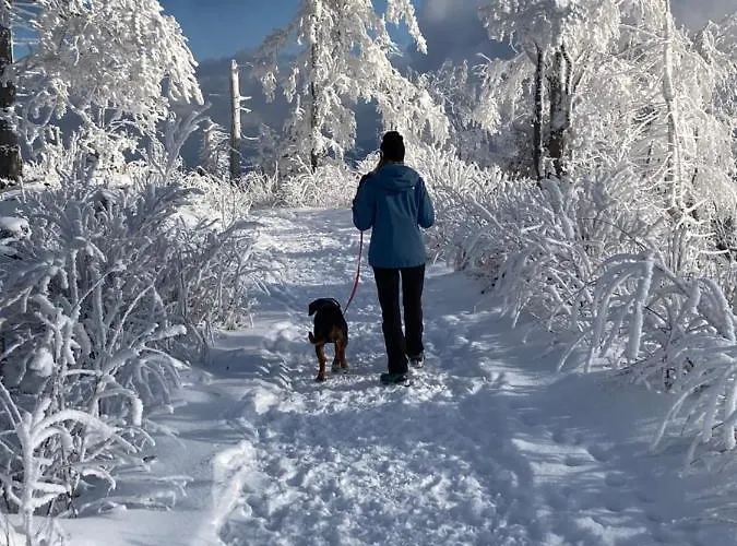 Sloneczna Dolina Vakantiehuis *